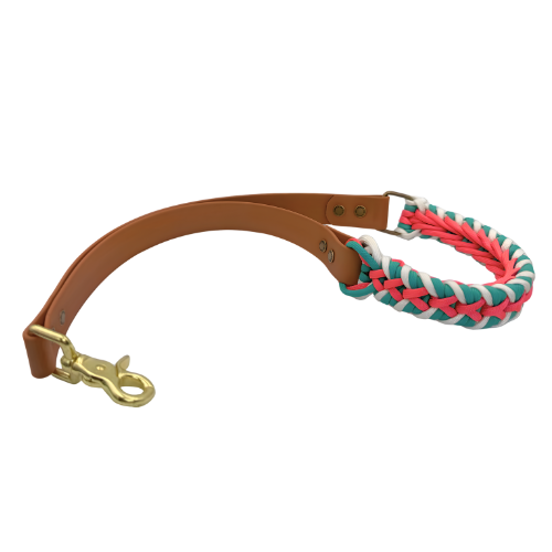 Dragon SNOOT Traffic Lead