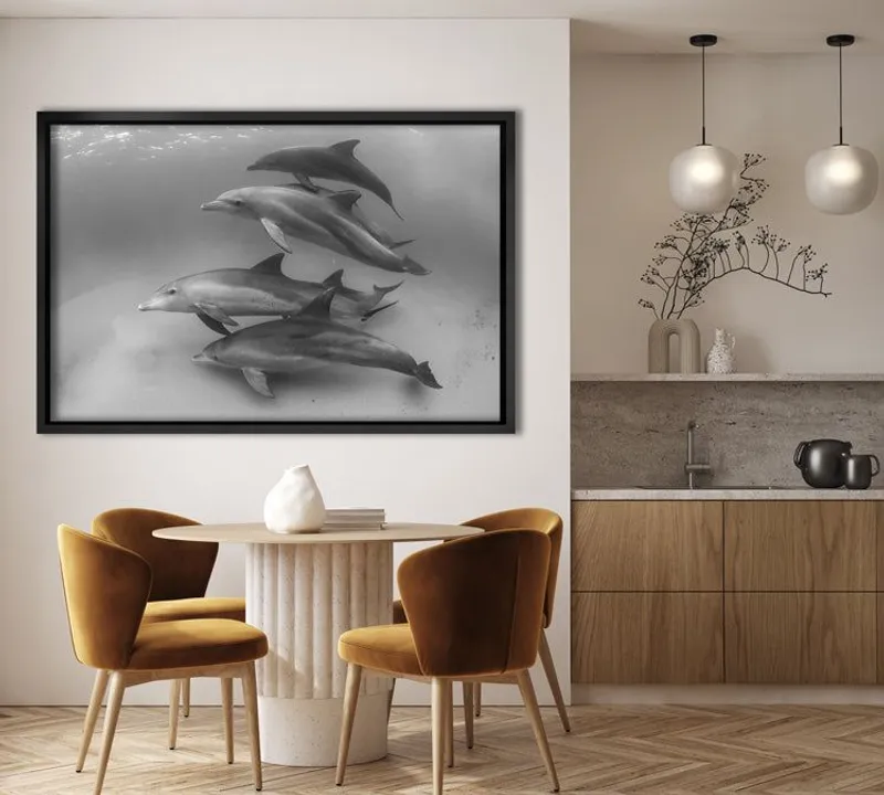 African Pods - Image 8