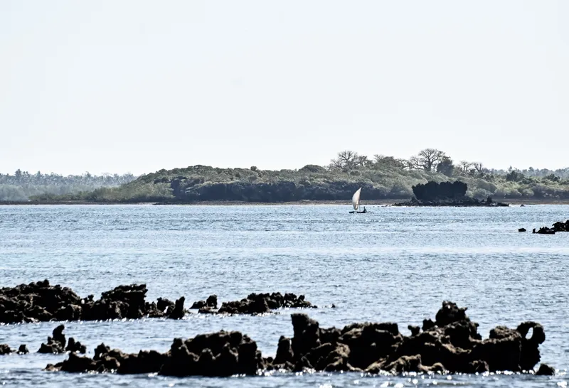 Sea Trail - Image 2