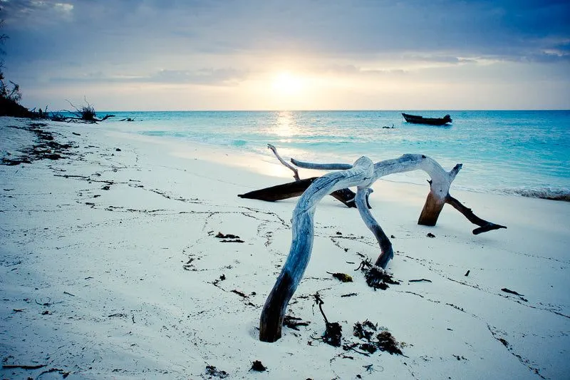 The day awaits - Image 2