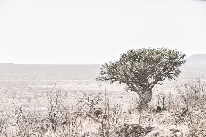 The Protector - Image 2