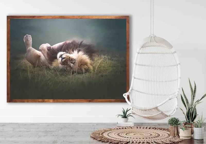 A King Under The Spotlight - Image 2