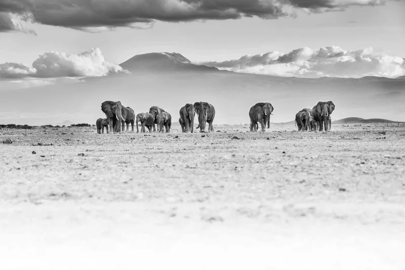 In the Distance - Image 2