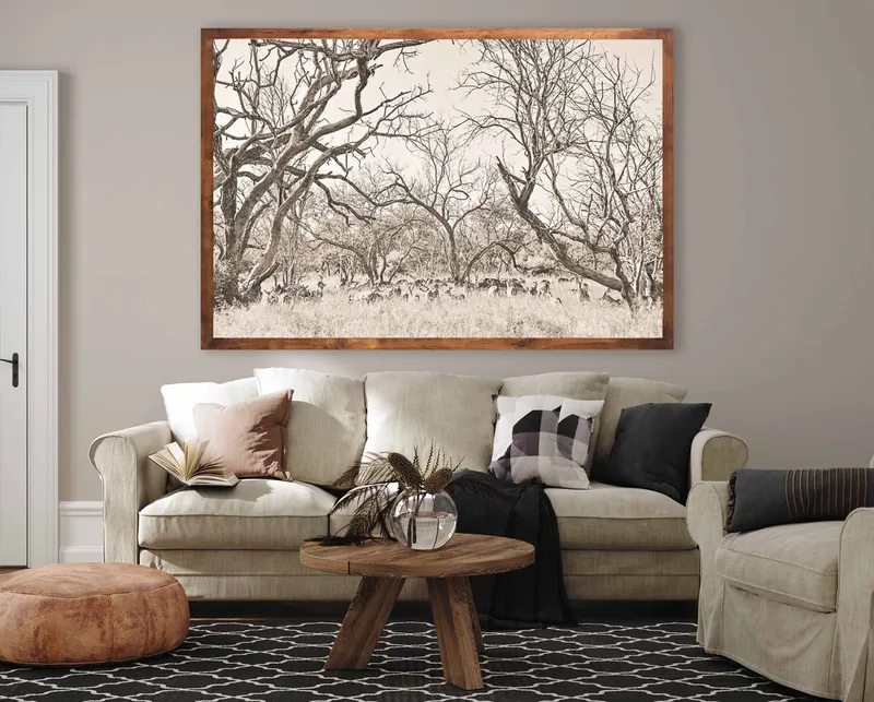 Impala forest - Image 1