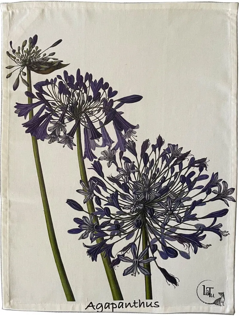 Tea Towels - Agapanthus - Image 2