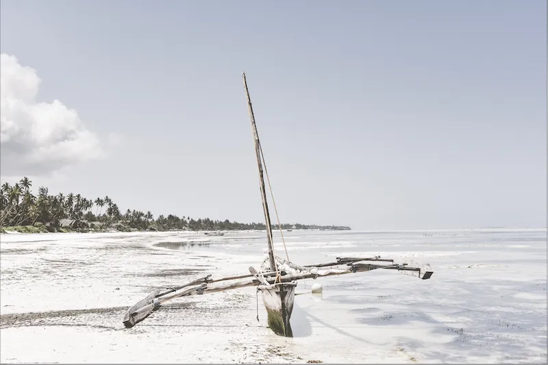 Serendipity (Limited Edition) - Image 2