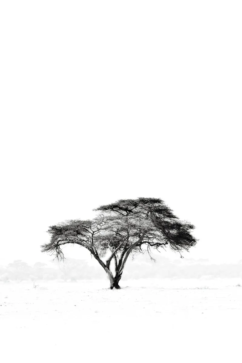 Mkubwa - Image 2