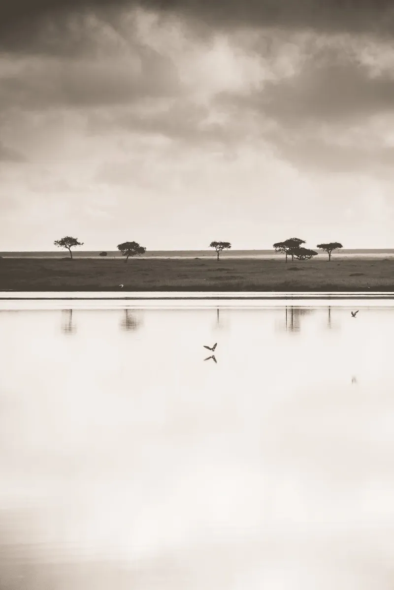 Flight - Image 2