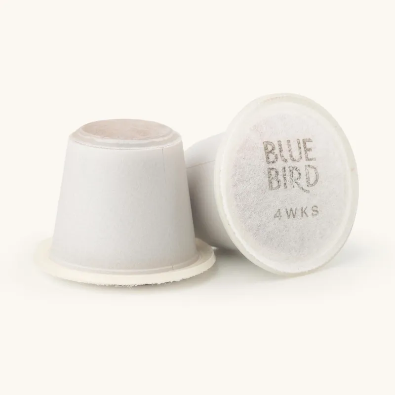 Bluebird Pods (Box of 10) - Image 2