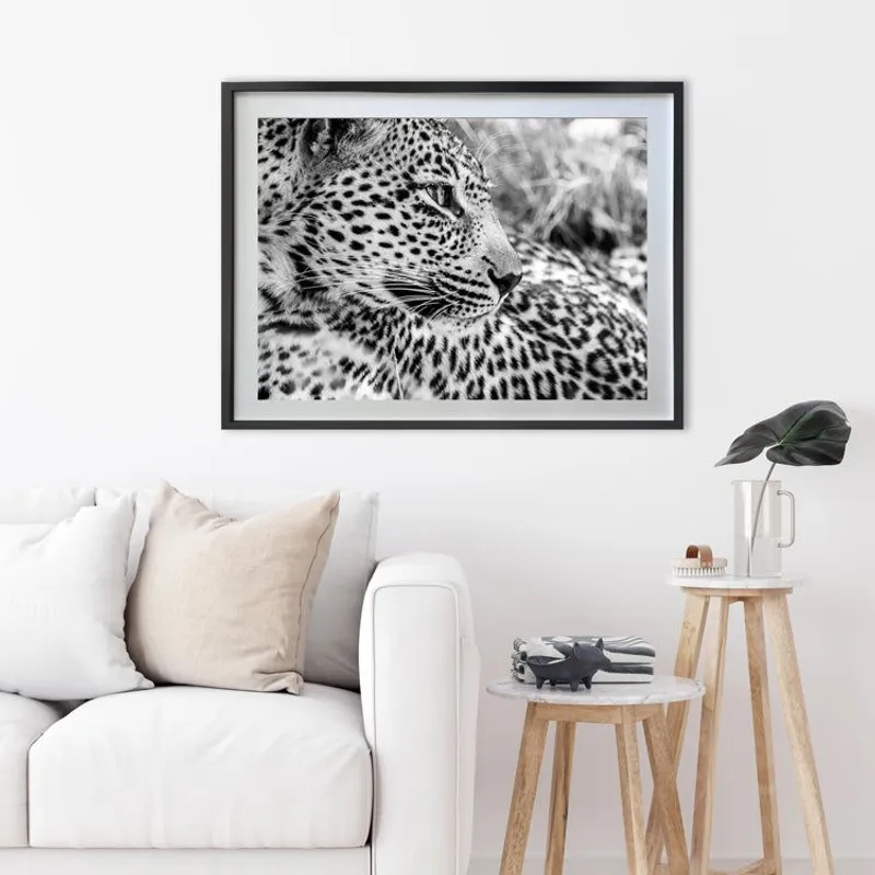 African Soul - Image 8