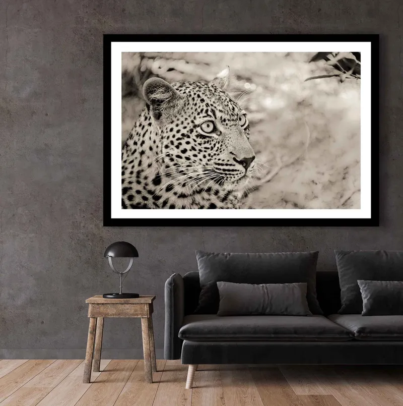 Leopard stare - Image 7