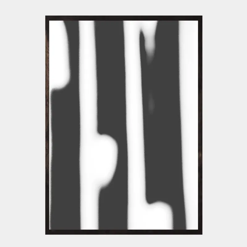 Porcupine quills - Image 2