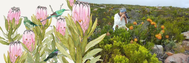 Coral Bloom - Image 1