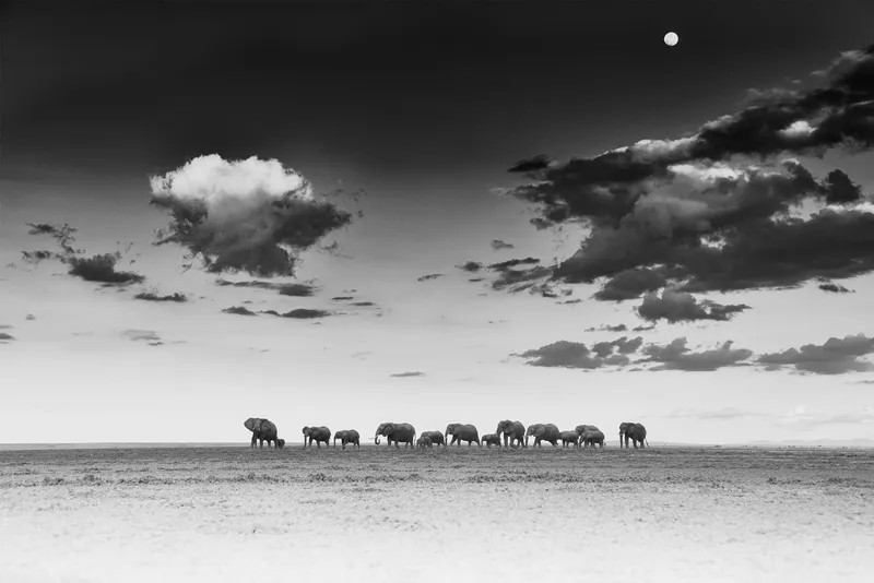 Moonwalk - Image 2
