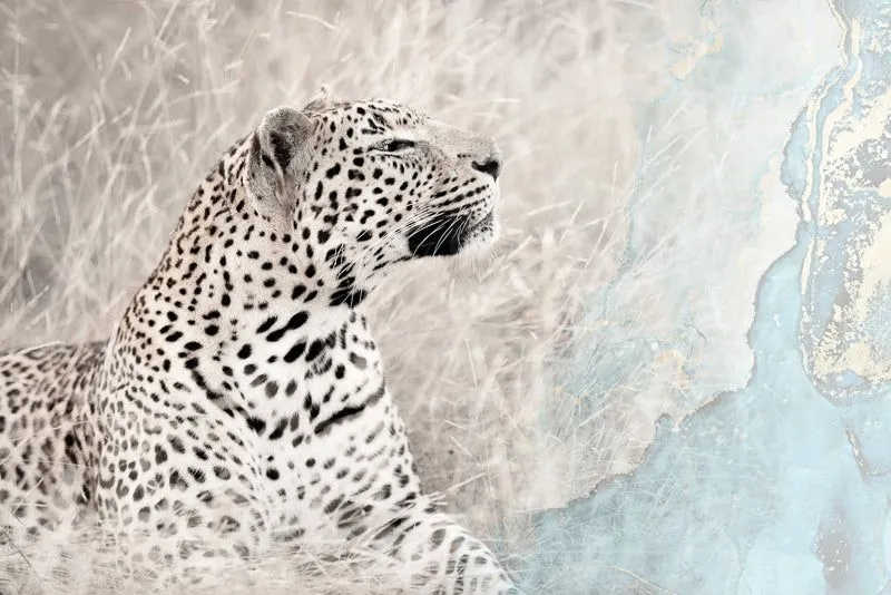 The scent (limited edition) - Image 2