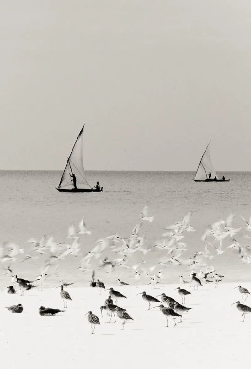 The Natural World - Image 2