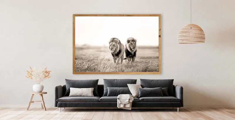 Wild boys - Image 1