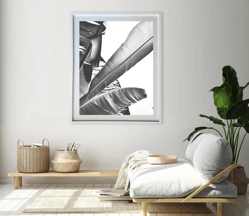 B/w Banana leaf 4 - Image 8