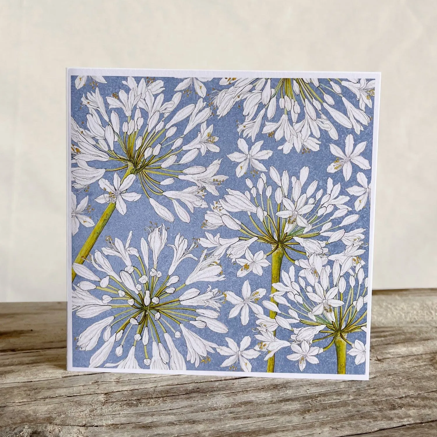 African Lily Greeting Card