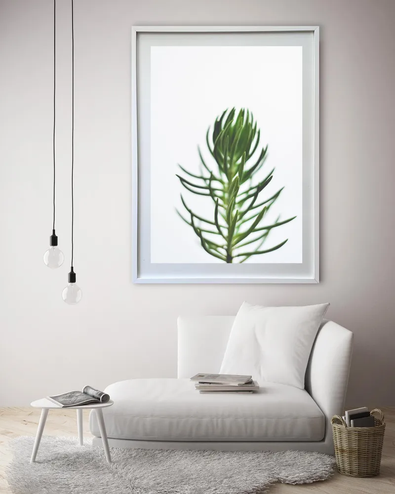 Transparency - Image 8