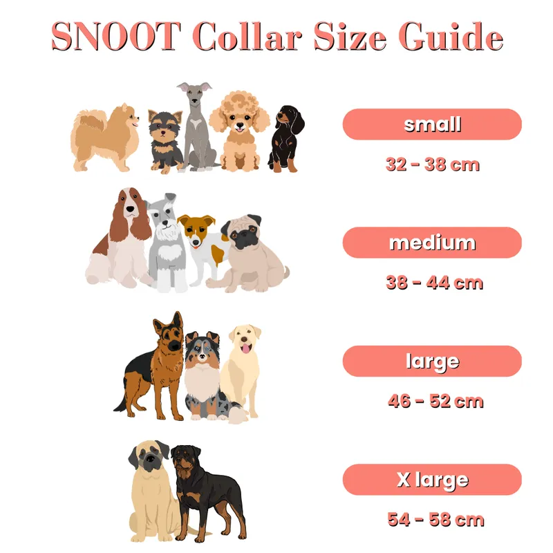 Spring SNOOT - Image 6