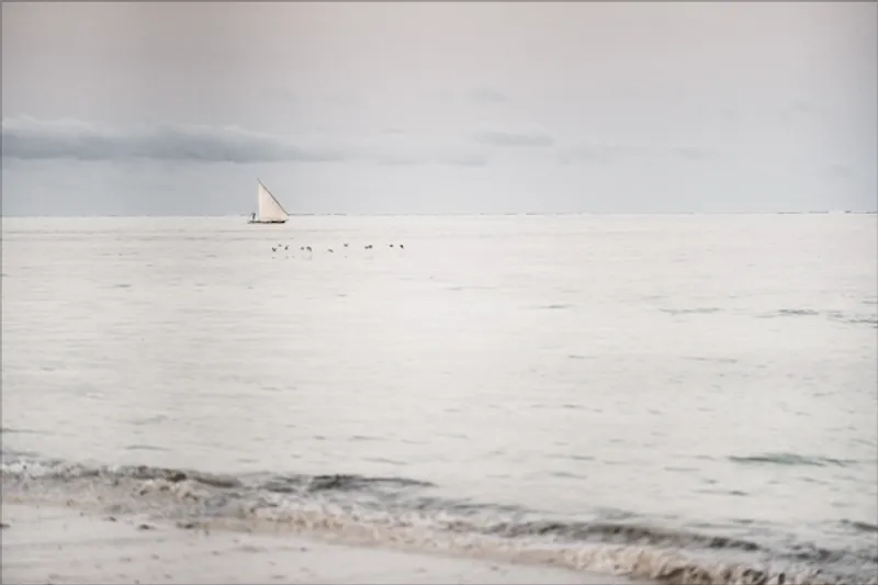 The Quiet (Limited Edition) - Image 2