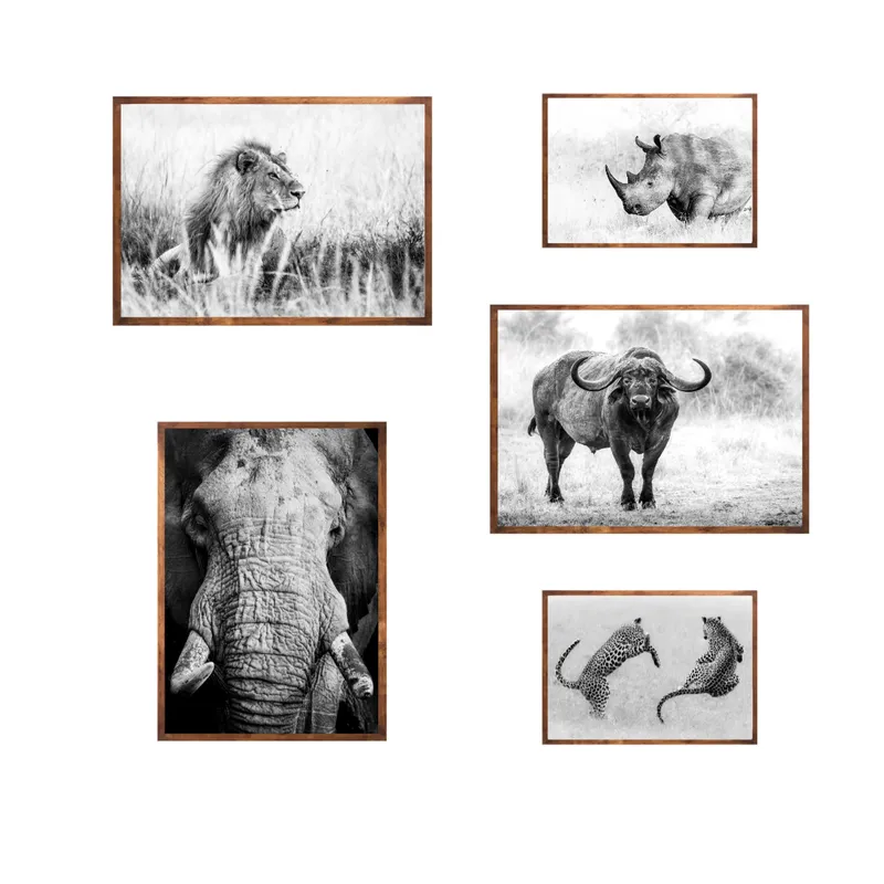 The BIG FIVE set - Image 2