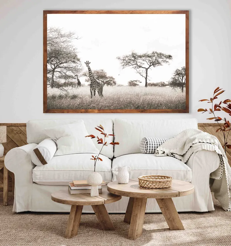 Plains and trees - Image 1