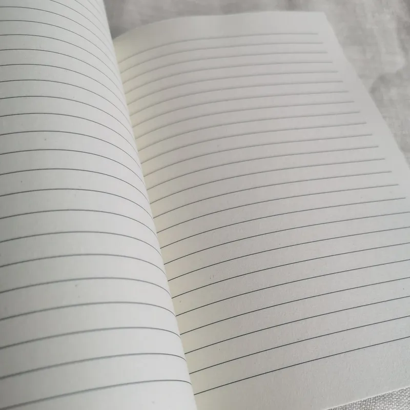 Agapanthus and Delft Journal - Image 3