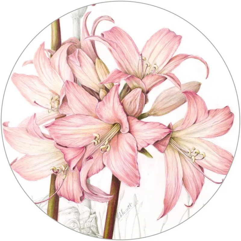 Paper Placemats - Pink Perfection - Image 1