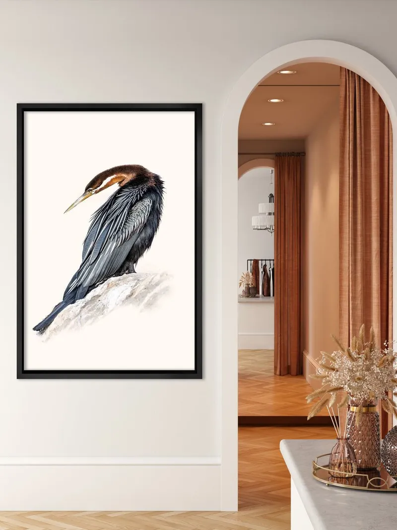 African Darter - Image 7