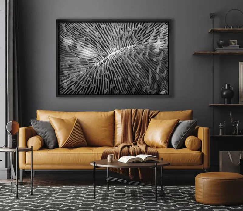 Ebony and Ivory Reef - Image 8