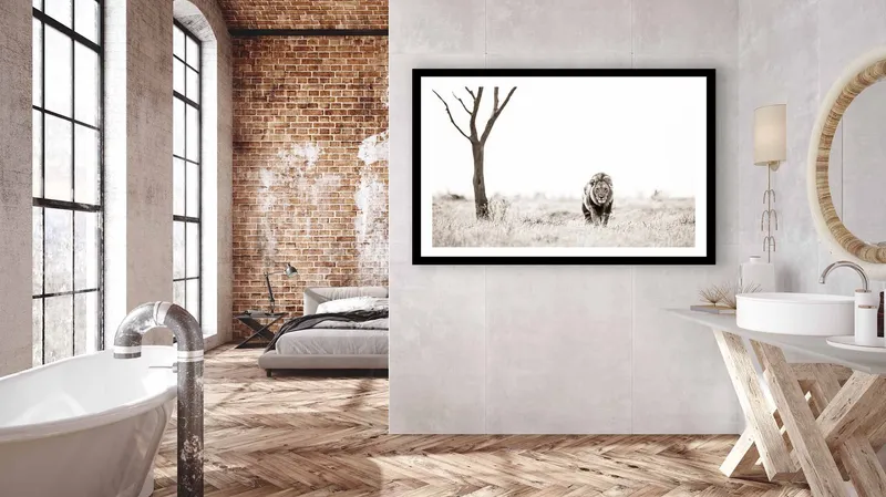 Marsh lions - Image 8