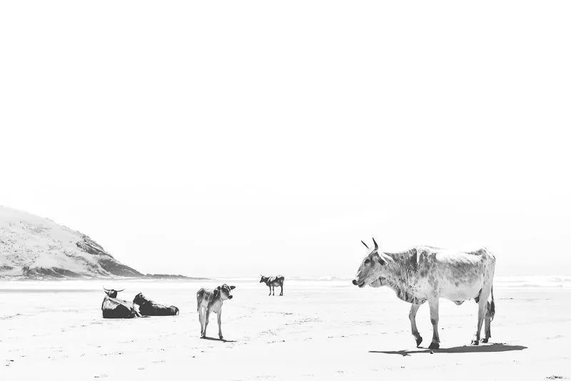Gathering - Image 2
