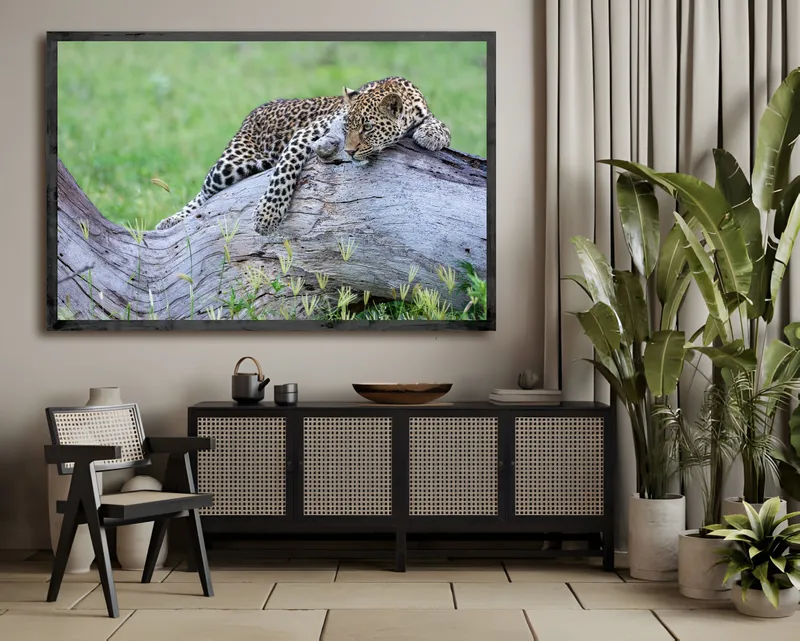 Green Season - Image 1