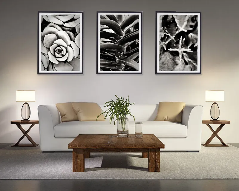 Aloe ladder - Image 1