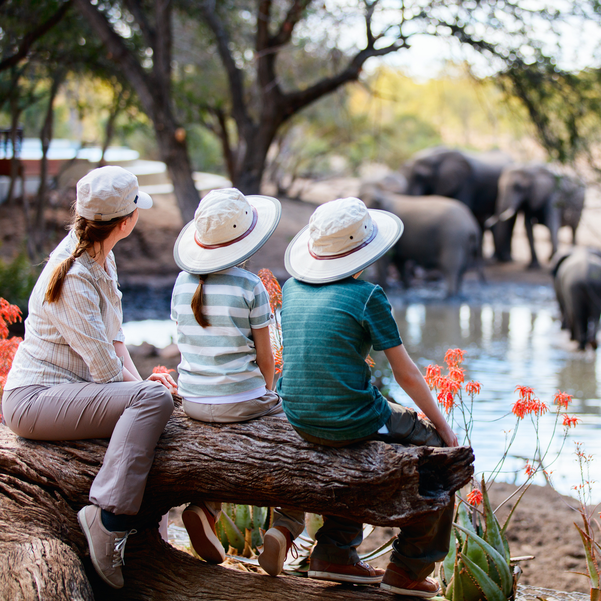 Safari Hats