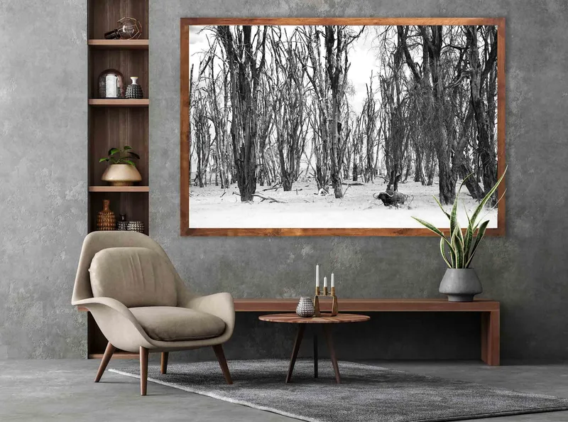 Buffalo forest - Image 1