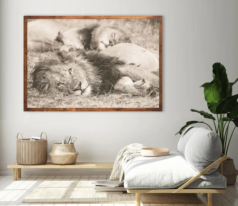 The King - Image 1