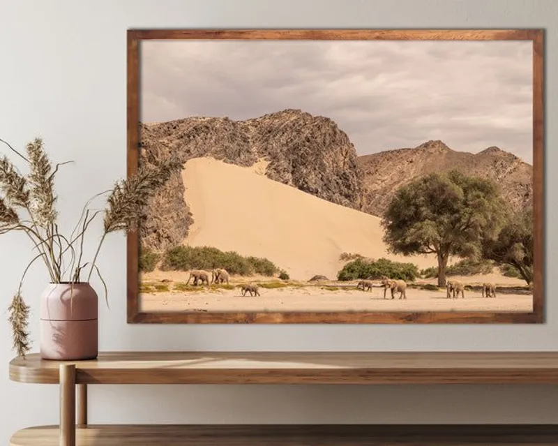 Savanna - Image 1