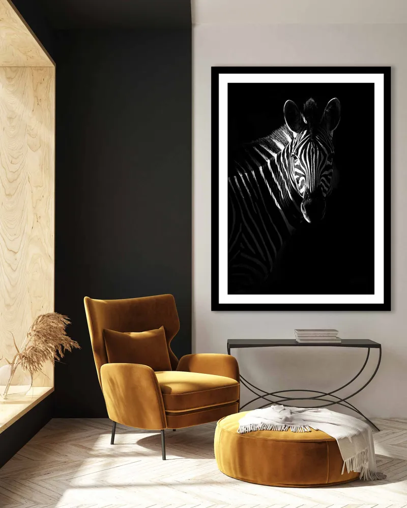 Zebra profile - Image 7