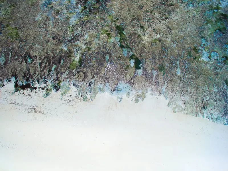 Beach and reef - Image 2