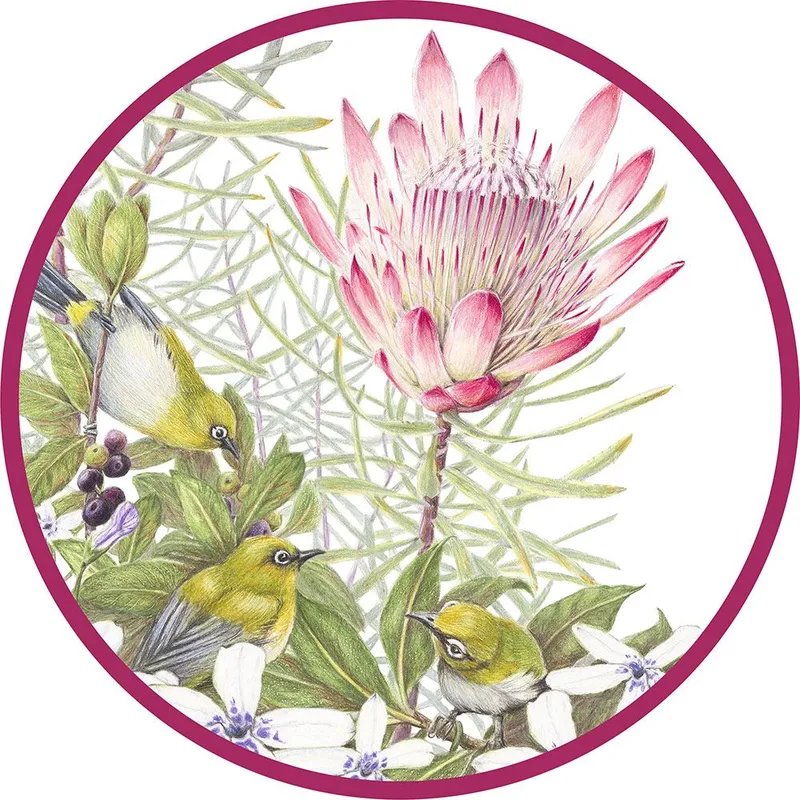 Paper Placemats - Sugarbush - Image 1