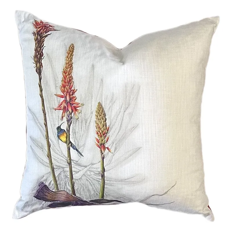 Scatter Cushion (60x60cm) - Hello Aloe - Image 1
