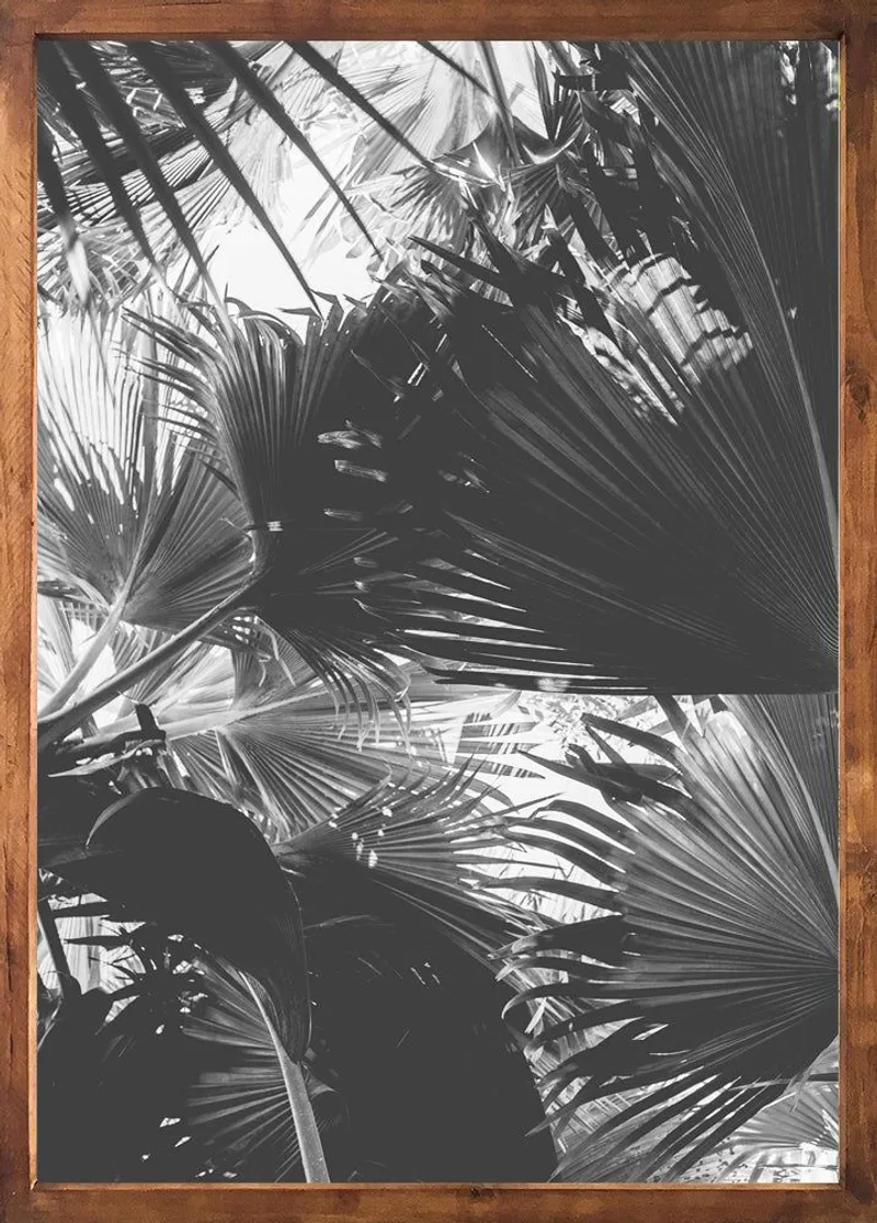 Vallee de Mai dusk - Image 2