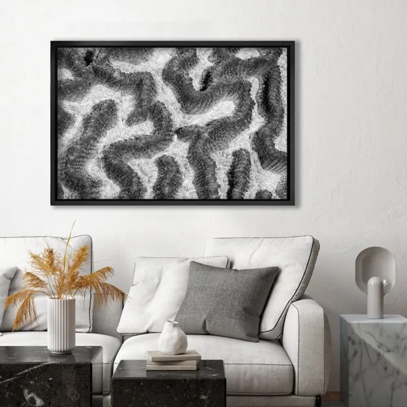 African Coral Symphony - Image 8