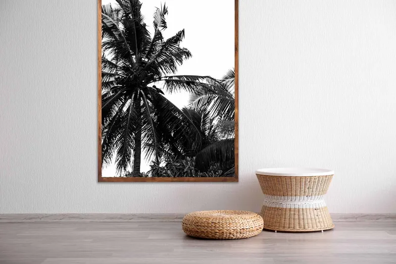 Denis Palm - Image 1