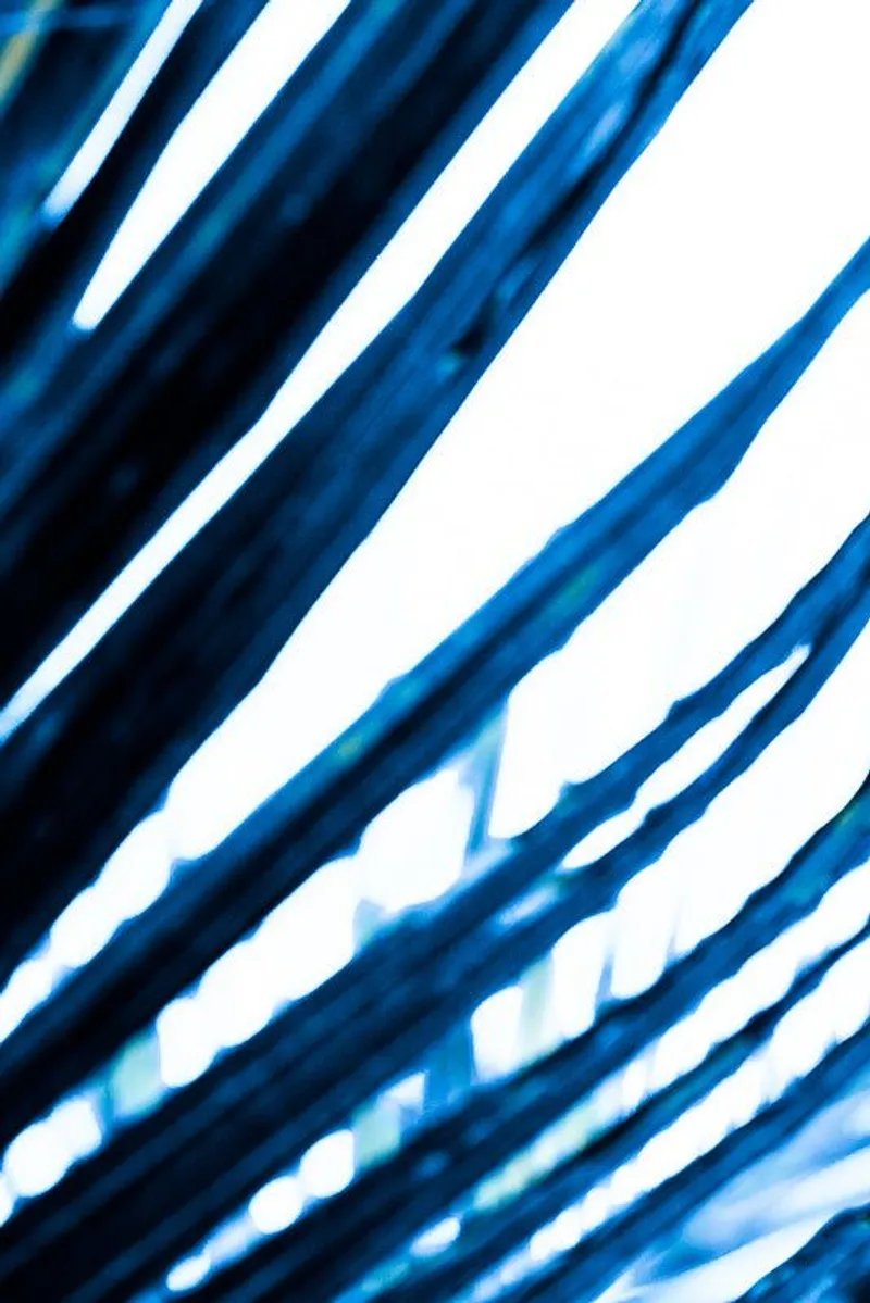 Blue palm - Image 2