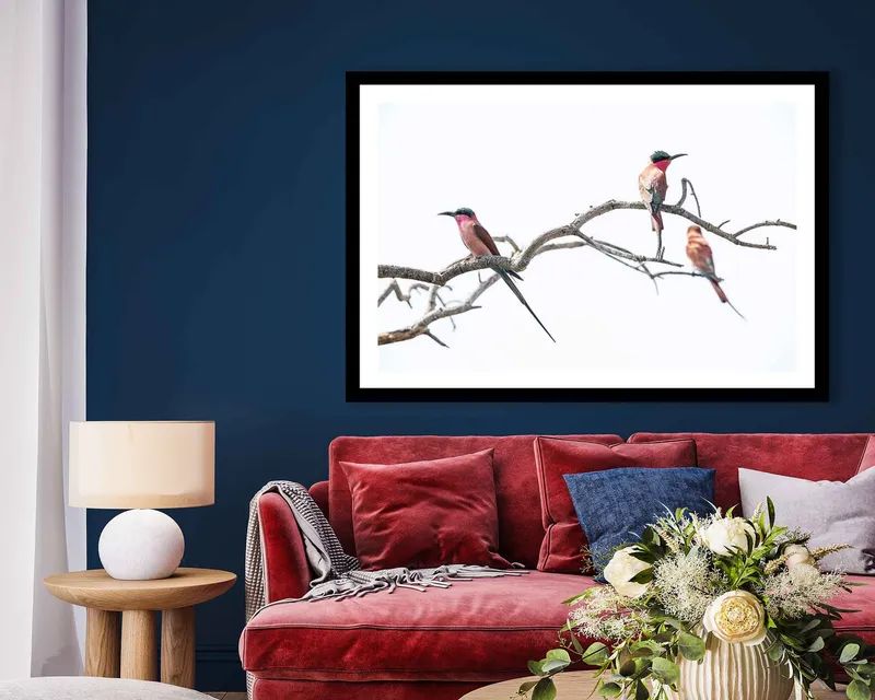 Carmines perched - Image 7