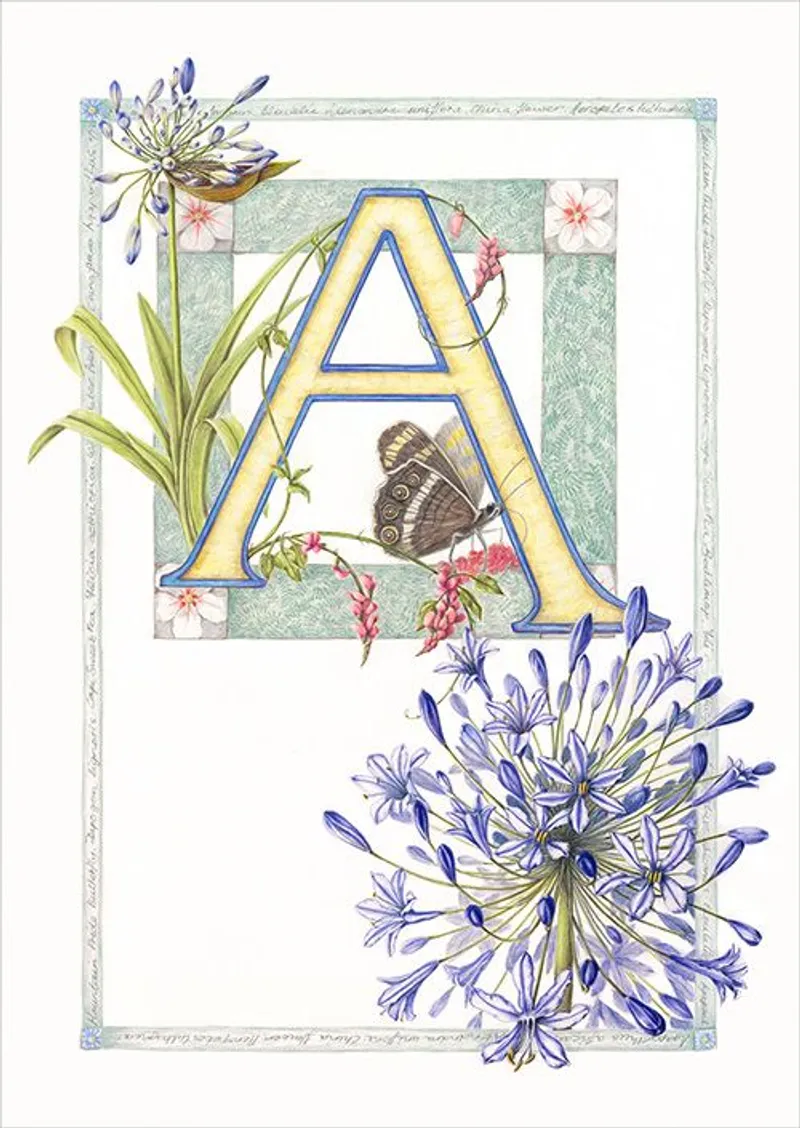 Fynbos Friends - Image 17